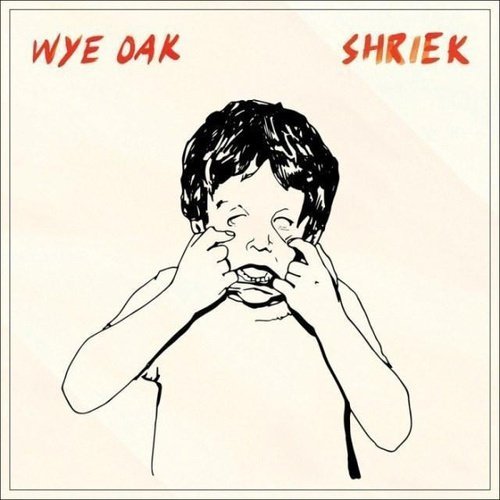 Wye Oak- Shriek Vinyl Record - Indie Vinyl Den